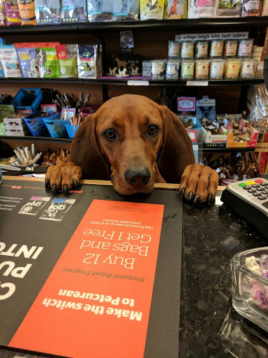 Pet Supply Store «Dawg City Inc.», reviews and photos, 38 Pearson St, Andover, MA 01810, USA