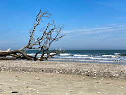 Photo de Driftwood beach avec un niveau de propreté de très propre