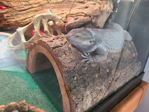 Pet Store «Precious Pets III», reviews and photos, 1091 US-130, Burlington, NJ 08016, USA