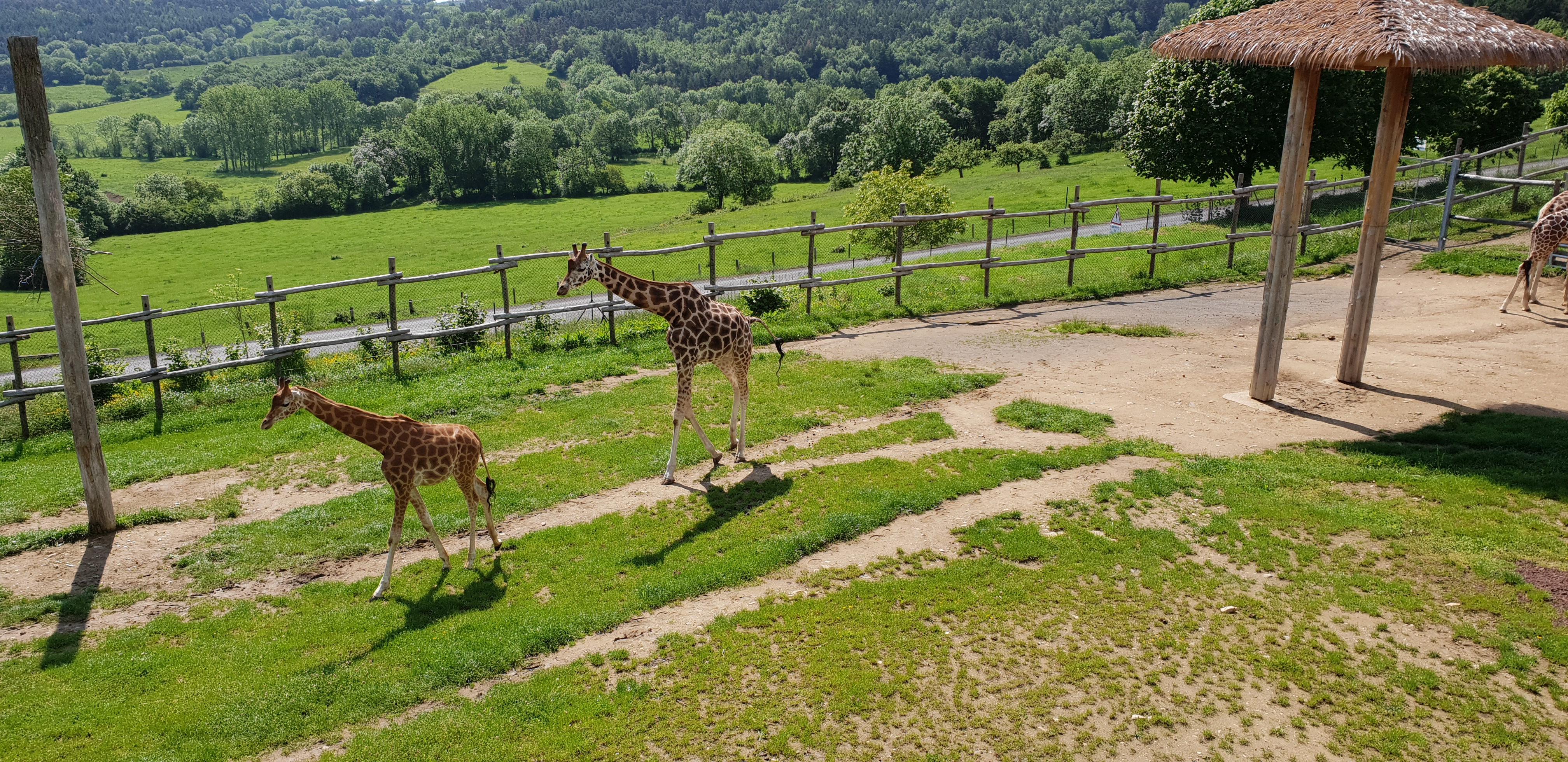 Photo n° 19 de l'avis de Lady.a fait le 24/05/2018 à 16:49