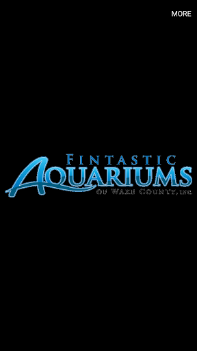 Tropical Fish Store «Fintastic Aquariums of Wake County Inc», reviews and photos, 303 E Durham Rd, Cary, NC 27513, USA