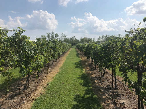 Winery «Haak Vineyards & Winery Inc», reviews and photos, 6310 Avenue T, Santa Fe, TX 77510, USA