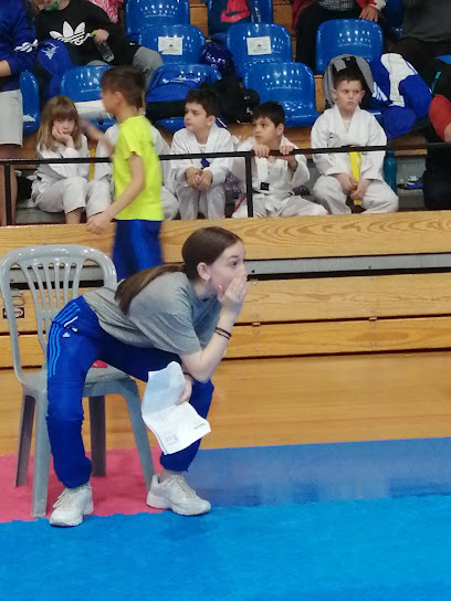 Taekwondo Nikomahos Volos