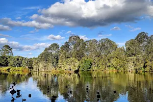 Toowoomba Waterbird Habitat image