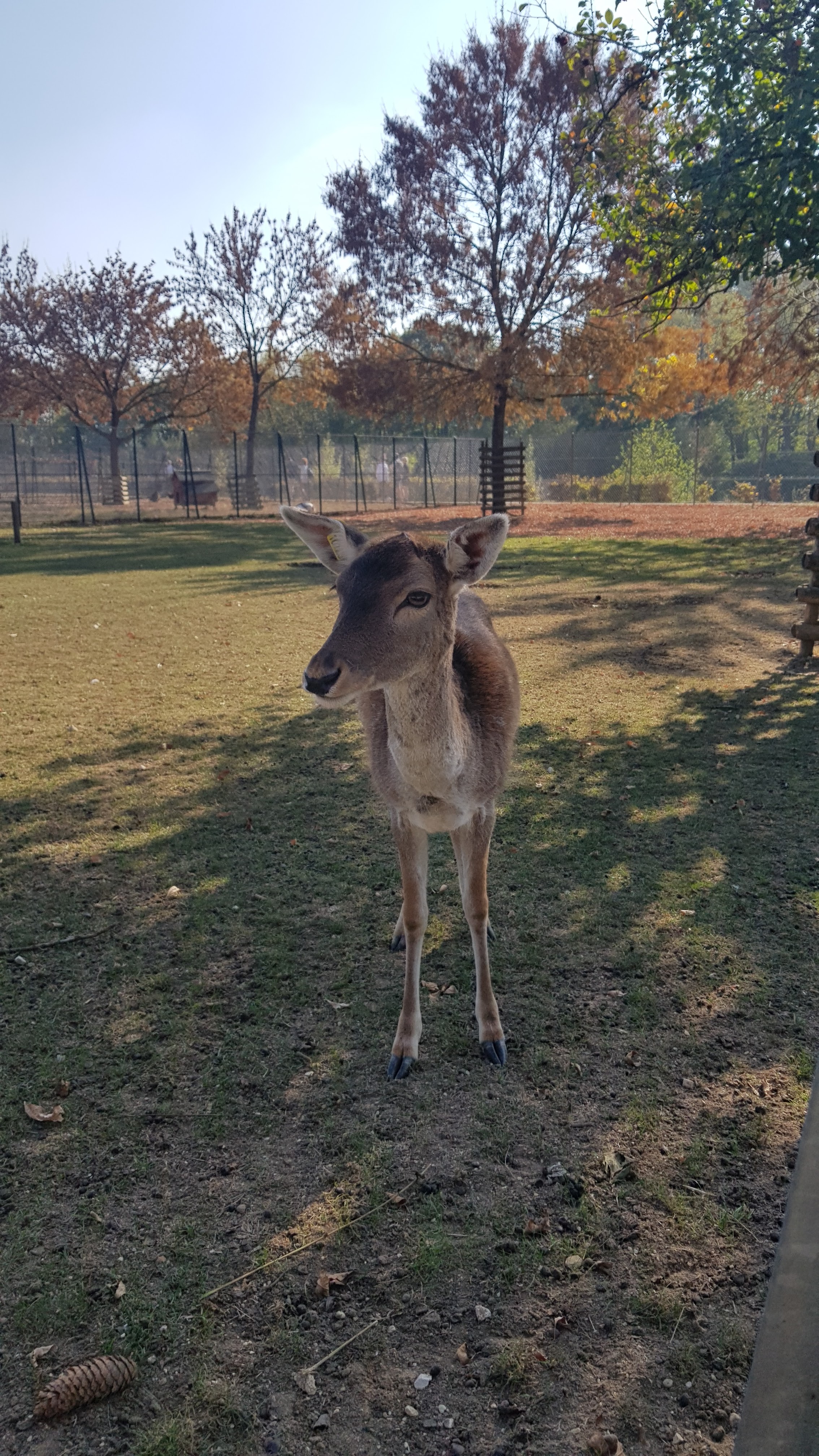 Photo n° 4 de l'avis de Eliza.u fait le 27/10/2018 à 21:34