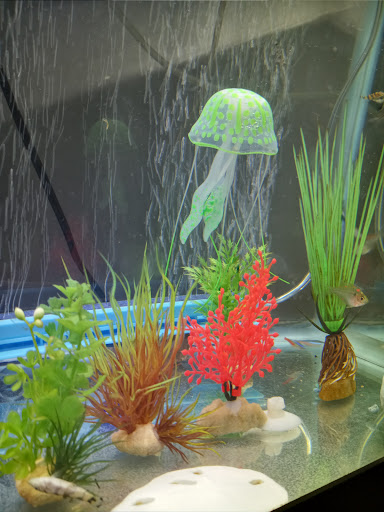 Pet Supply Store «Petco Animal Supplies», reviews and photos, 597 Hebron Rd #2, Heath, OH 43056, USA