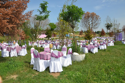 Serenköy Kır Düğünü ve Piknik Alanı