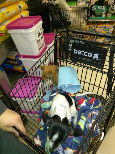 Pet Supply Store «Petco Animal Supplies», reviews and photos, 205 Washington St #11, Hudson, MA 01749, USA