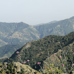 Photo n°9 de l'avis de Daniela.i fait le 17/06/2019 à 20:07 sur le  BAR TABACCHI PARADISO à Reggio Calabria