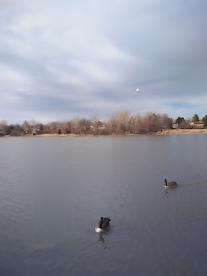Kendrick Lake Park - photo 18