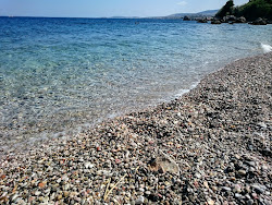 Myrsinidiou beach'in fotoğrafı vahşi alan