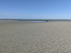 Foto von Sapelo Island befindet sich in natürlicher umgebung