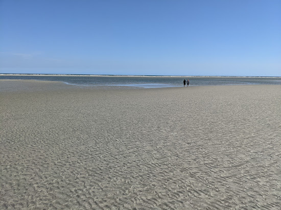 Sapelo Island