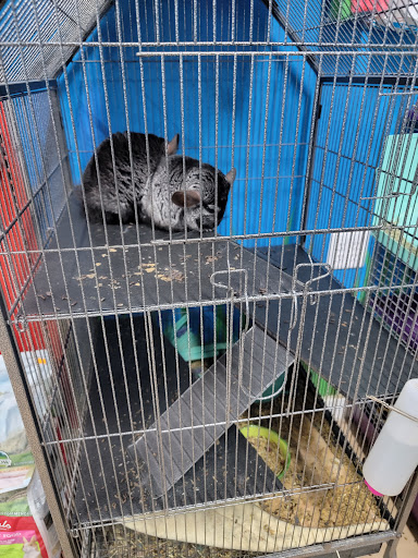 Pet Store «Deridder Pets», reviews and photos, 709 Mahlon St, DeRidder, LA 70634, USA