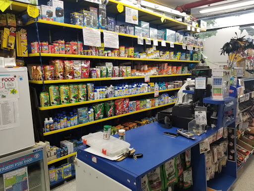 Pet Store «Petland Discounts - Willoughby», reviews and photos, 72 Willoughby St, Brooklyn, NY 11201, USA