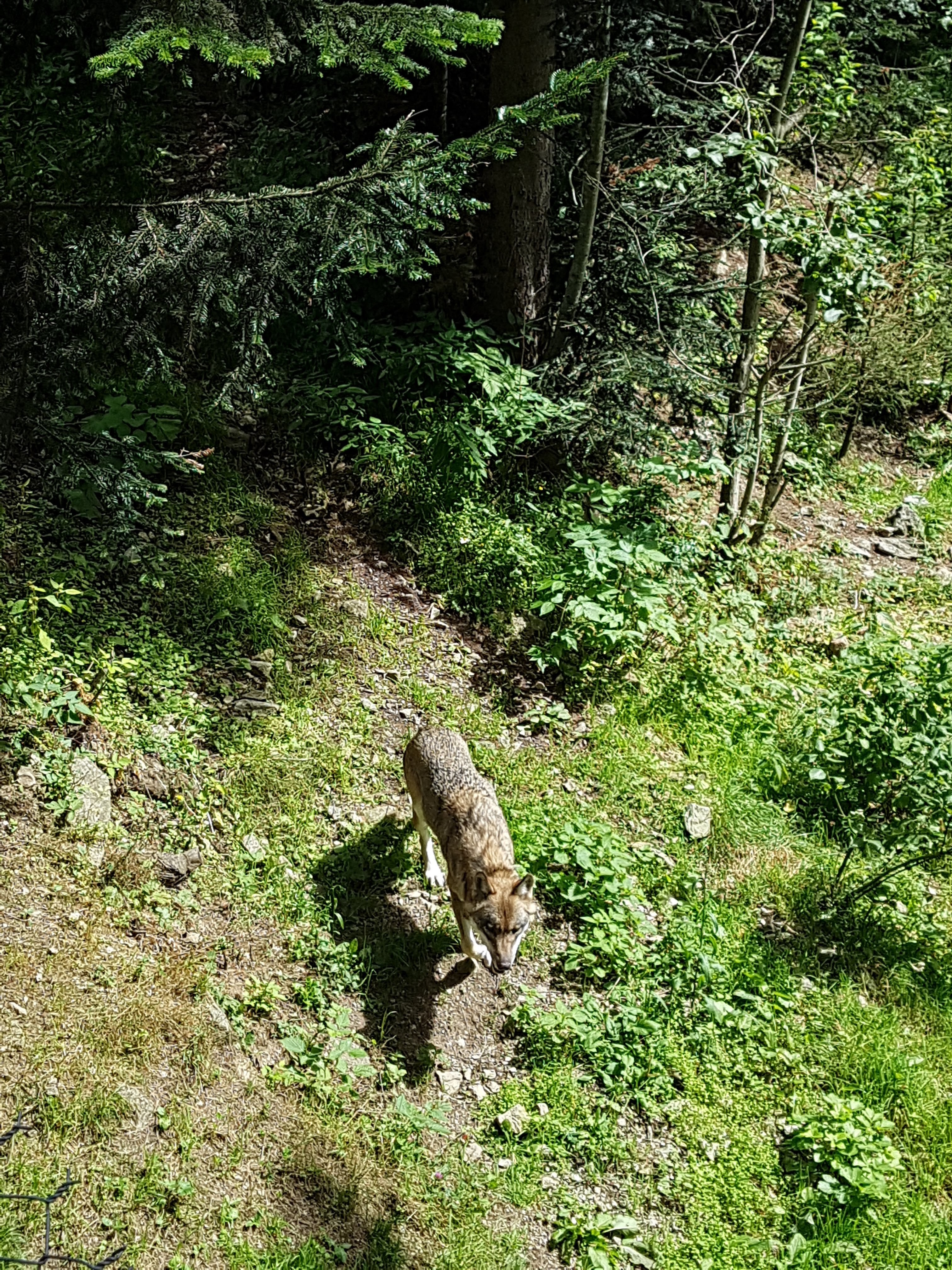 Photo n° 3 de l'avis de Romain.o fait le 10/09/2018 à 13:52