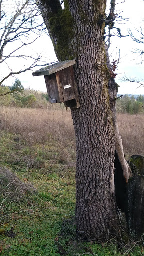 Park «Cooper Mountain Nature Park», reviews and photos, 18892 SW Kemmer Rd, Beaverton, OR 97007, USA