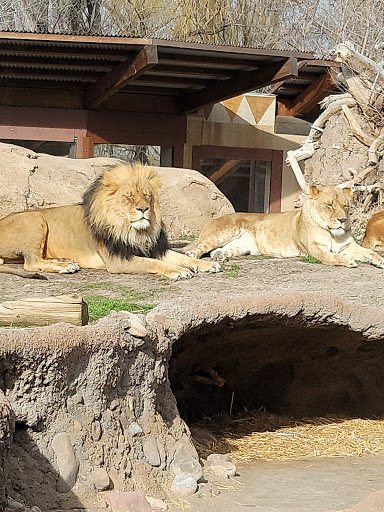 Zoo «Hogle Zoo», reviews and photos, 2600 Sunnyside Ave S, Salt Lake City, UT 84108, USA