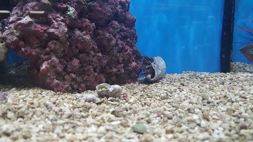 Pet Supply Store «Petco Animal Supplies», reviews and photos, 31419 Pacific Hwy S, Federal Way, WA 98003, USA