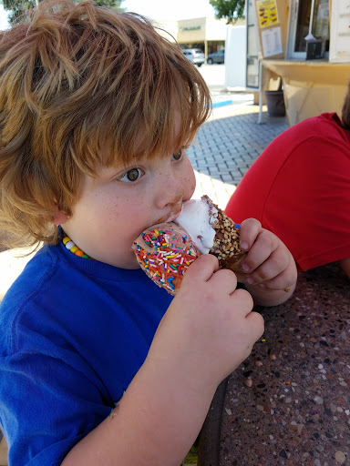 Ice Cream Shop «Twistee Treat», reviews and photos, 4945 US Hwy 98 N, Lakeland, FL 33809, USA