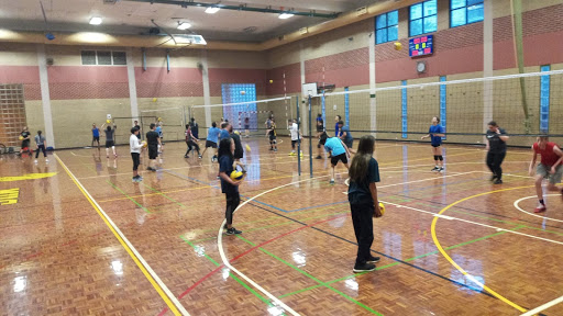 Academy of International Volleyball Club Melbourne