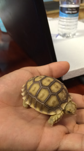 Pet Supply Store «Petco Animal Supplies», reviews and photos, 1753 St Lucie W Blvd, Port St Lucie, FL 34986, USA