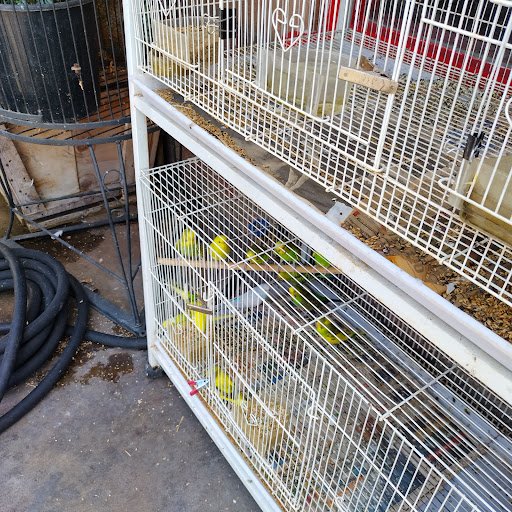 Animal Feed Store «Whittier Feed Store», reviews and photos, 12618 Penn St, Whittier, CA 90602, USA