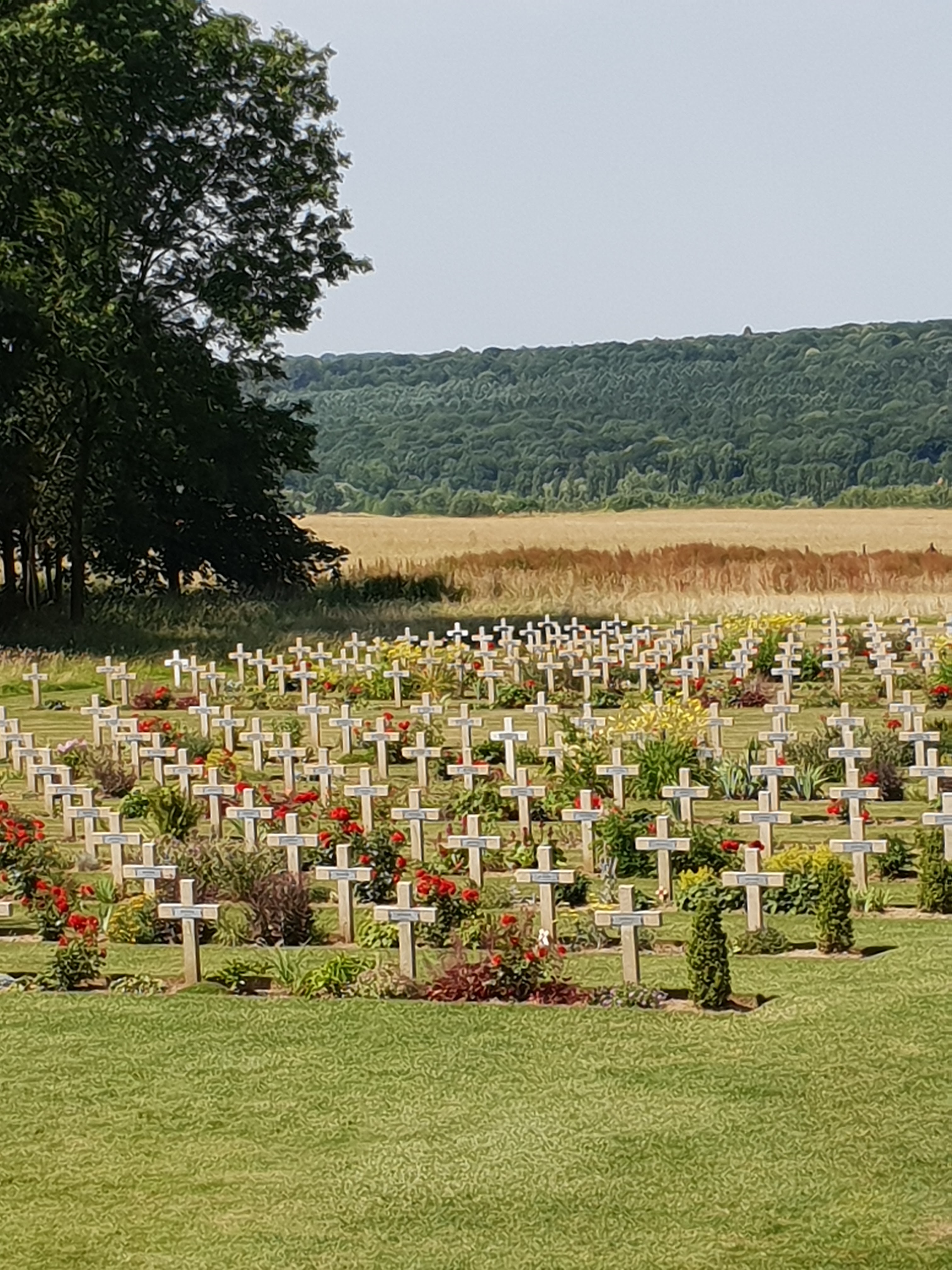 Photo n° 6 de l'avis de Stuart.u fait le 05/07/2018 à 06:52