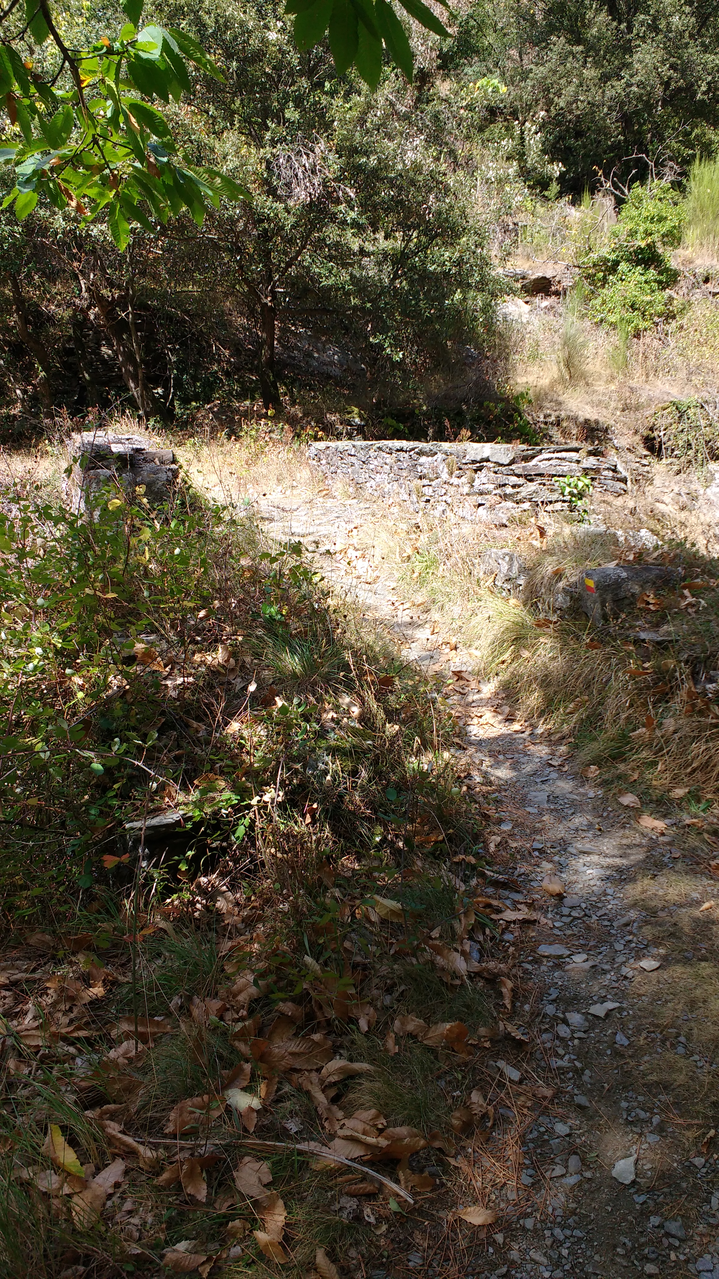 Photo n° 8 de l'avis de Xavier.U fait le 12/09/2017 à 07:12