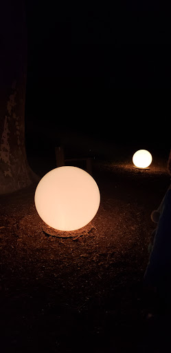 Coffee Shop «Yum Yum Donuts», reviews and photos, 15900 Pioneer Blvd, Norwalk, CA 90650, USA