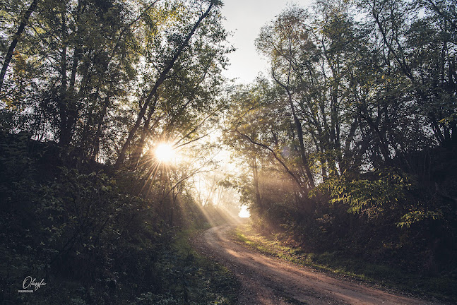 Értékelések erről a helyről: Bokor Richárd fotós | photographer, Kaposvár - Fényképész