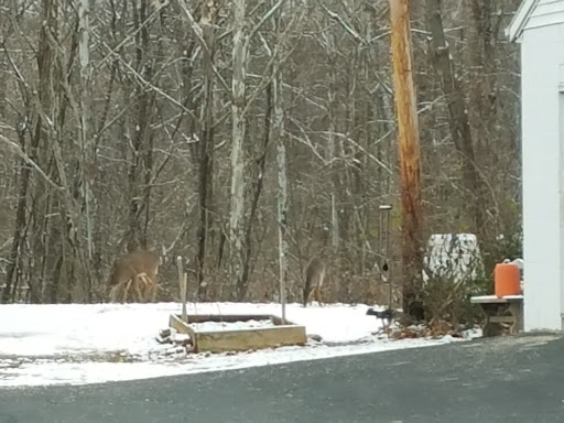 Auto Repair Shop «Quality Collision», reviews and photos, 2110 S Walnut St, Bloomington, IN 47401, USA