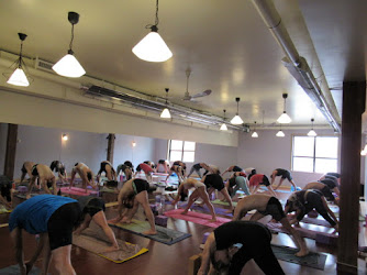 Circle Studios Yoga + Art