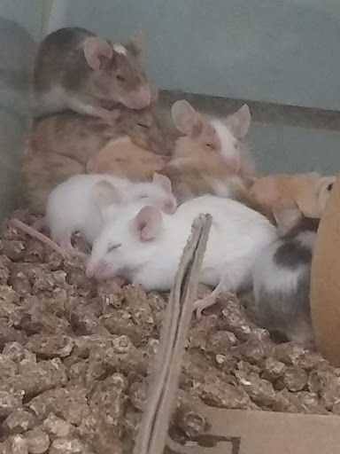 Pet Store «Pet World Warehouse Outlet», reviews and photos, 2984 S 108th St, Milwaukee, WI 53227, USA