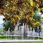 Photo n°7 de l'avis de Alberto.u fait le 21/05/2022 à 19:40 sur le  Covo Nord Ovest à Malgrate