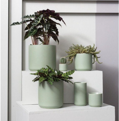 Wholesale Florist «Quality Wholesale Florist Supply», reviews and photos, 7074 NW 50th St, Miami, FL 33166, USA