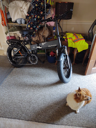 Bicycle Store «Bikes Plus», reviews and photos, 9445 Poplar Ave, Germantown, TN 38138, USA