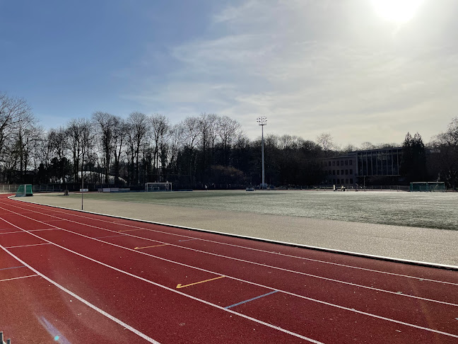 Olympic field - Leuven