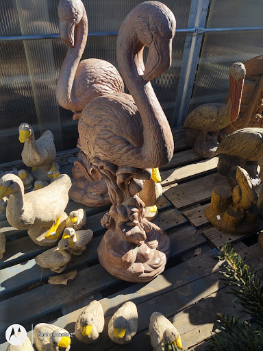 Farm «Pope Farms Produce & Garden Center», reviews and photos, 6501 W 28th St, Greeley, CO 80634, USA