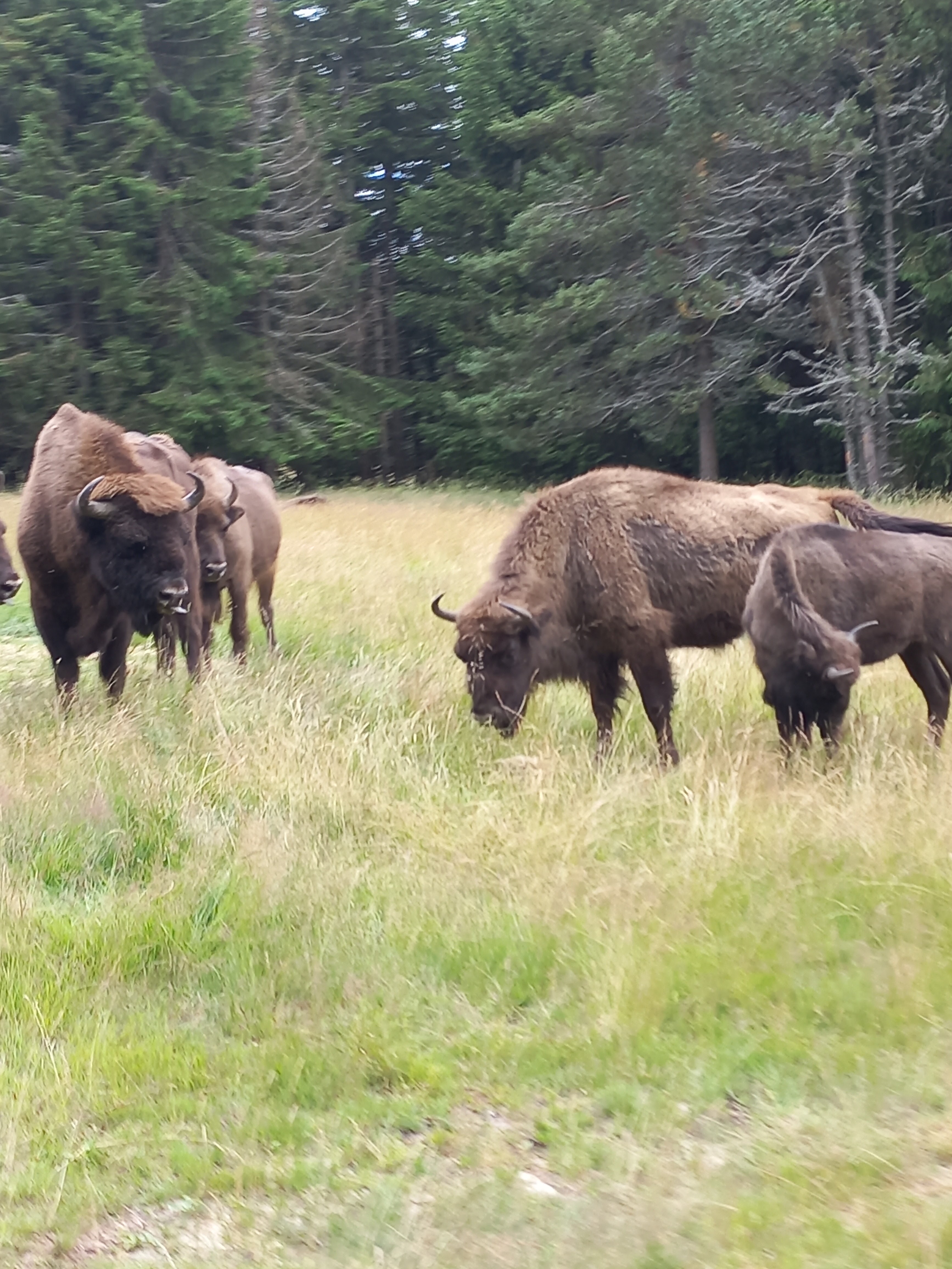 Photo n° 4 de l'avis de gaillard.a fait le 15/07/2022 à 11:14