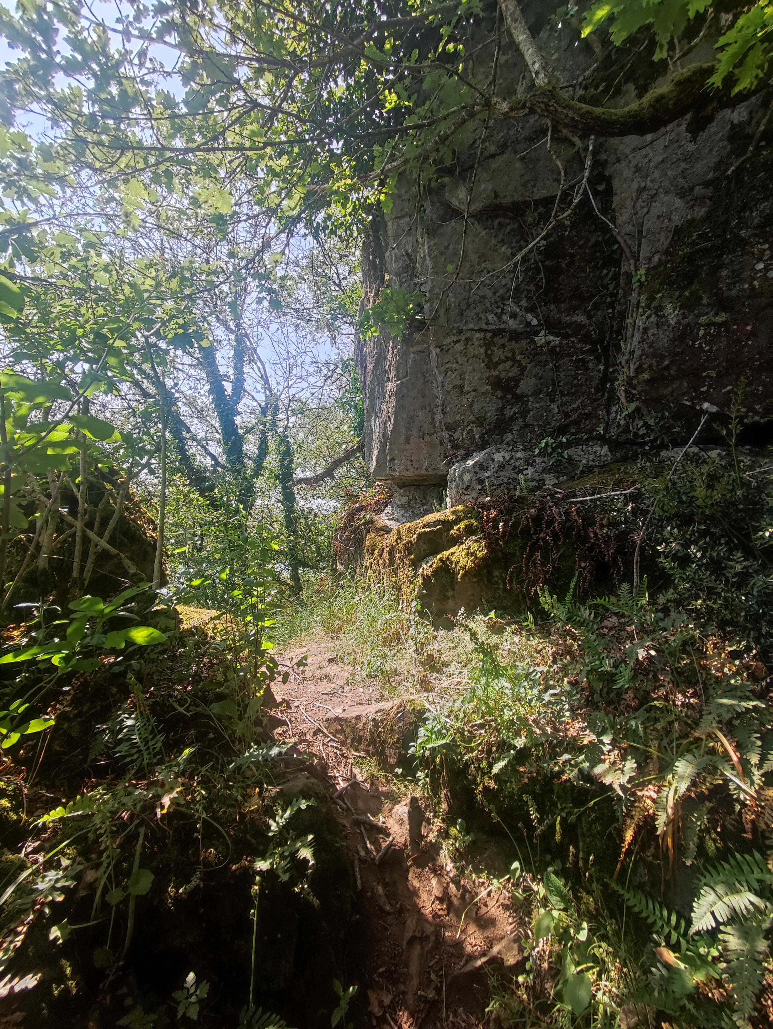 Photo n° 8 de l'avis de Benoit. fait le 09/06/2023 à 17:07