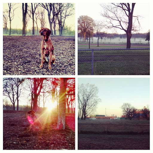 Dog Park «St. Anthony Parkway Off-Lease Dog Park», reviews and photos, 700 St Anthony Pkwy, Minneapolis, MN 55418, USA