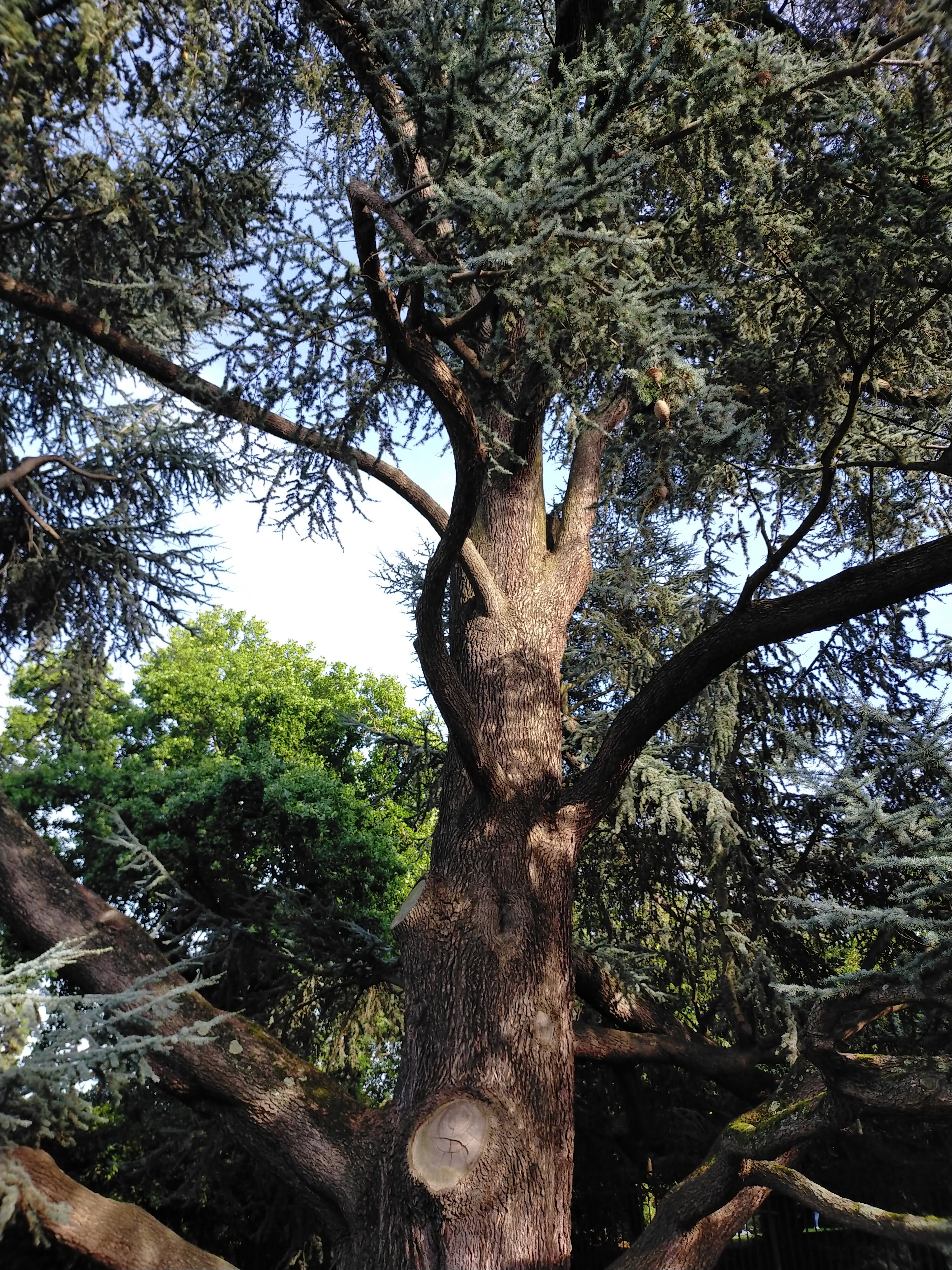 Photo n° 6 de l'avis de Elilou.h fait le 26/09/2022 à 16:39