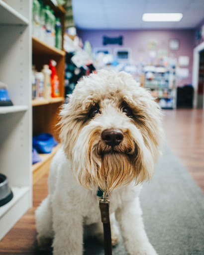 Pet Groomer «Pet-icure Pet Grooming & Supplies», reviews and photos, 89 Main St, Pepperell, MA 01463, USA