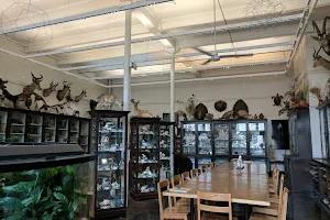 The Edna W. Lawrence Nature Lab at Rhode Island School of Design image