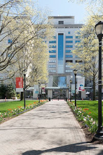 Hartford Hospital - Photo 2 - Car repair in Hartford, CT, Hartford