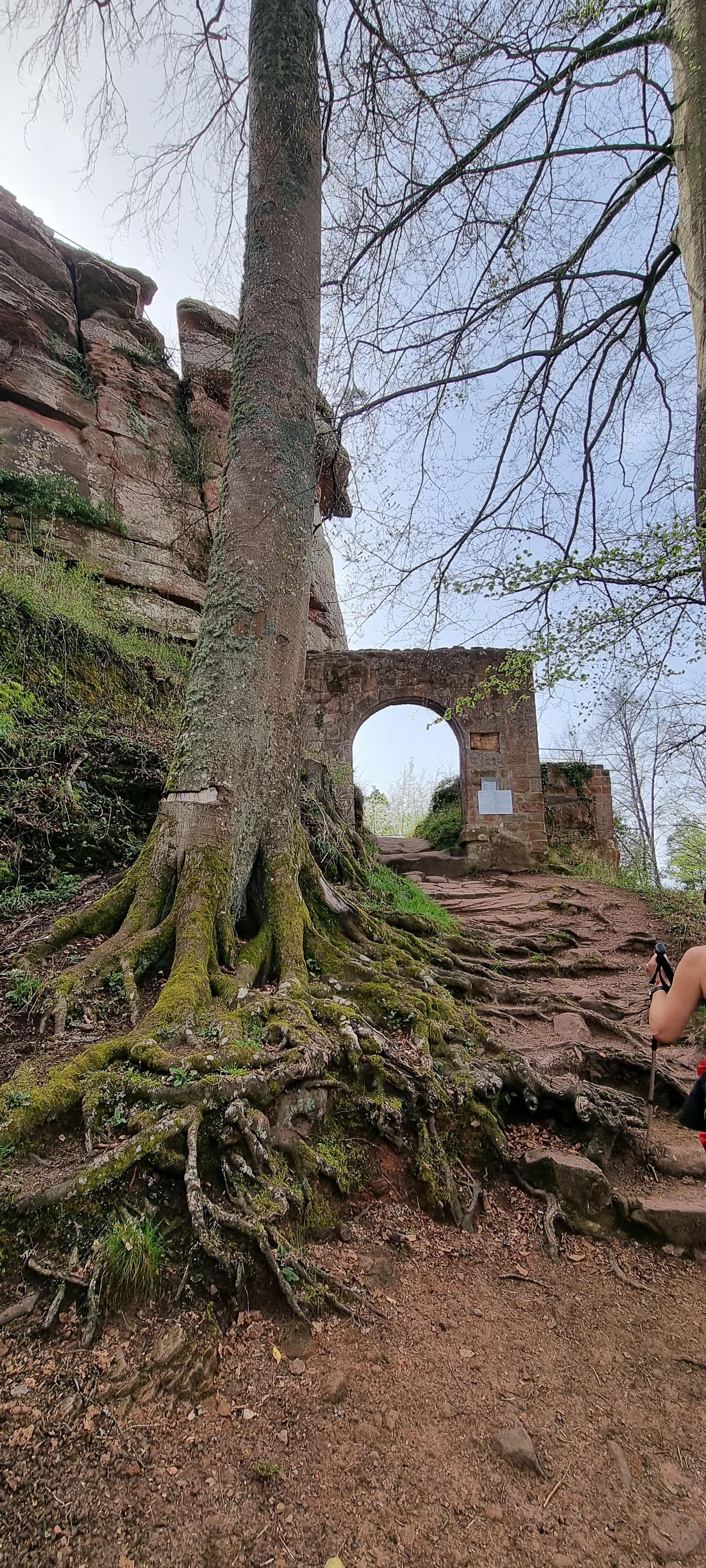 Photo n° 4 de l'avis de Véronique.C fait le 13/04/2022 à 18:38