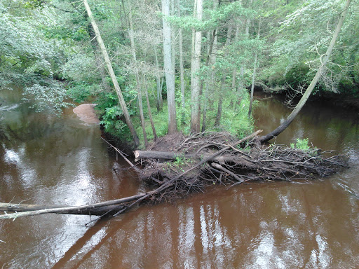 Public Golf Course «Hamilton Trails Golf Club», reviews and photos, 620 Harbor Ave, Mays Landing, NJ 08330, USA