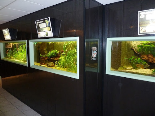 Aquarium de Saint Chamond - L'Aquaramiaud à Saint-Chamond