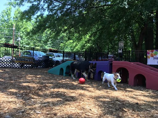 Pet Supply Store «The Hungry Puppy», reviews and photos, 1288 NJ-33, Farmingdale, NJ 07727, USA